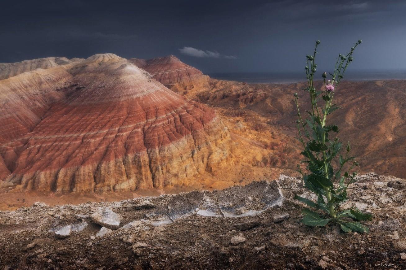 Altyn-Emel National Park Off-Road Tour